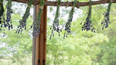 Save Money with At-Home Spa Treatments Image